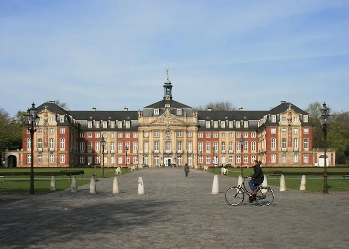 Ibis 3*